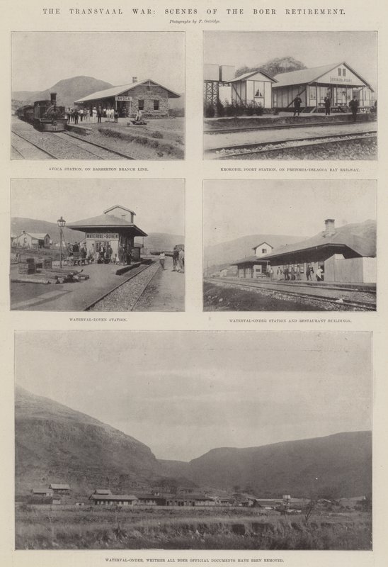 A Guerra do Transvaal, Cenas da Aposentadoria dos Bôeres de English Photographer
