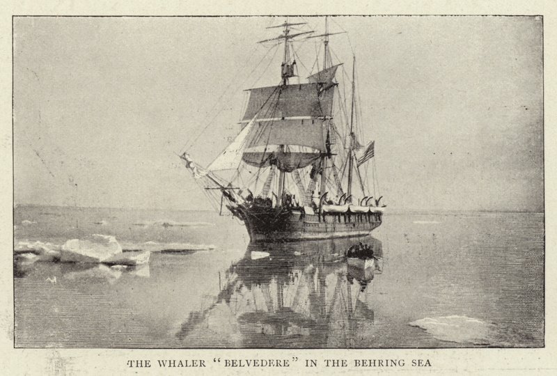 O Belvedere Whaler no Mar Behring de English Photographer