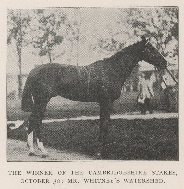 O Vencedor das Estacas de Cambridgeshire, 30 de outubro, o Sr. Whitneys Watershed de English Photographer