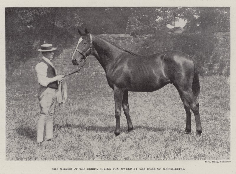O vencedor do Derby, Flying Fox, de propriedade do Duque de Westminster de English Photographer