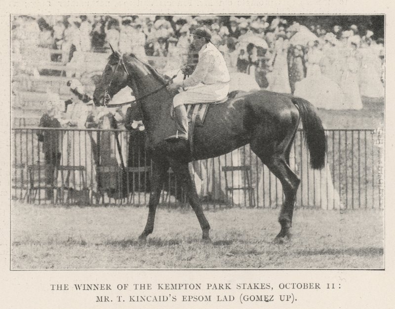O vencedor do Kempton Park Stakes, 11 de outubro, Sr. T Kincaids Epsom Lad (Gomez) de English Photographer