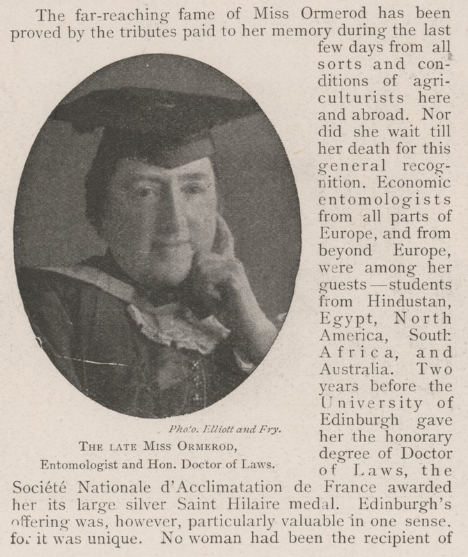 A falecida Miss Ormerod, entomologista e doutor honorário de leis de English Photographer