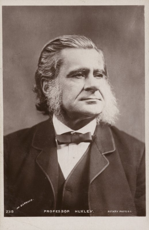 Thomas Henry Huxley (1825-1895, biólogo inglês de English Photographer