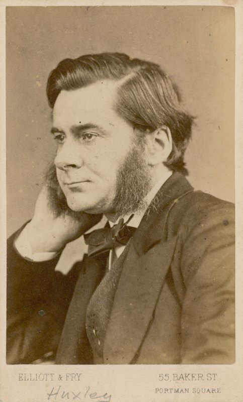 Thomas Henry Huxley de English Photographer