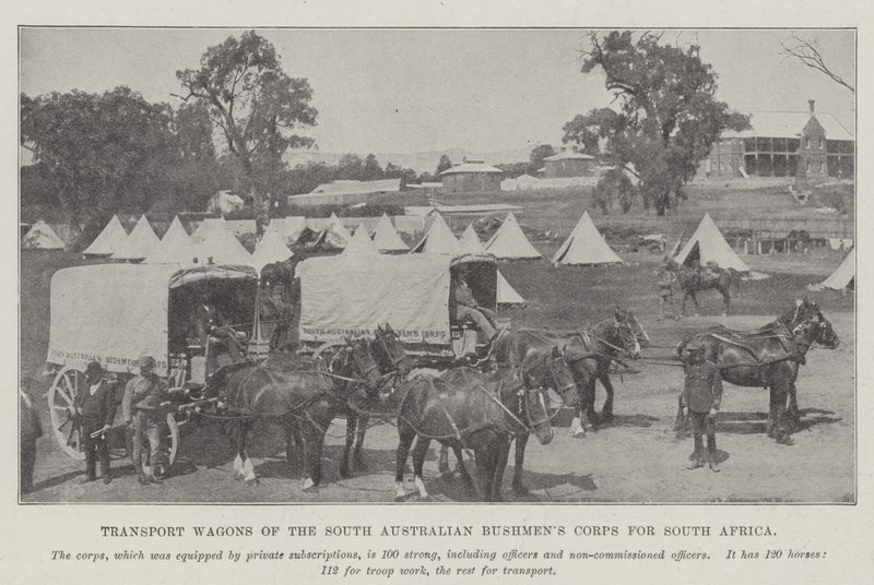 Vagões de transporte do Corpo de Bushmens do Sul da Austrália para a África do Sul de English Photographer