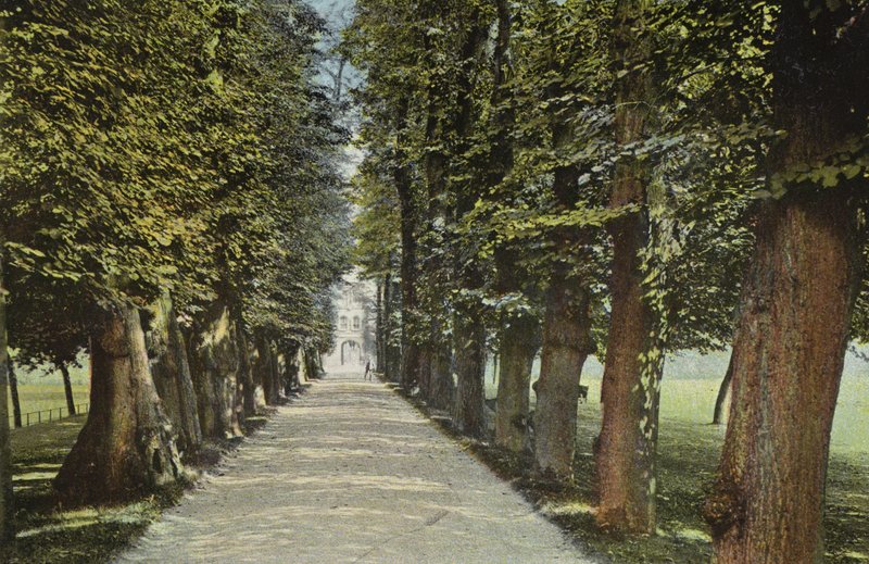 Trinity College, a avenida de English Photographer