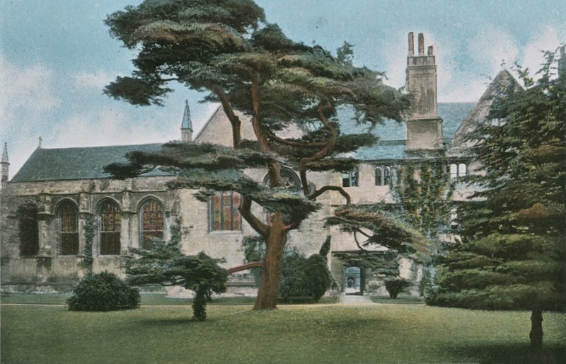 Faculdade de Wadham de English Photographer
