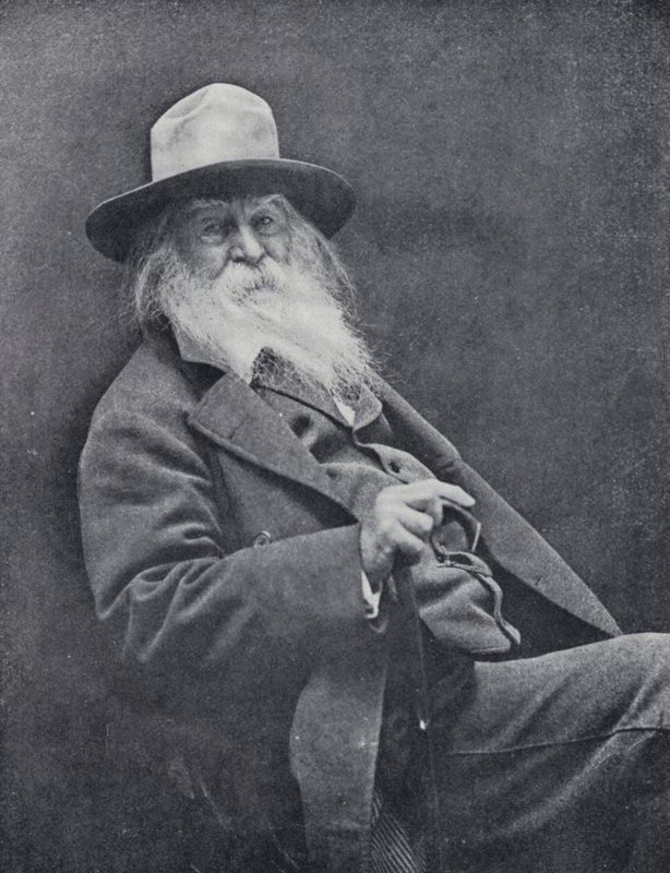 Walt Whitman (foto a p/b) de English Photographer