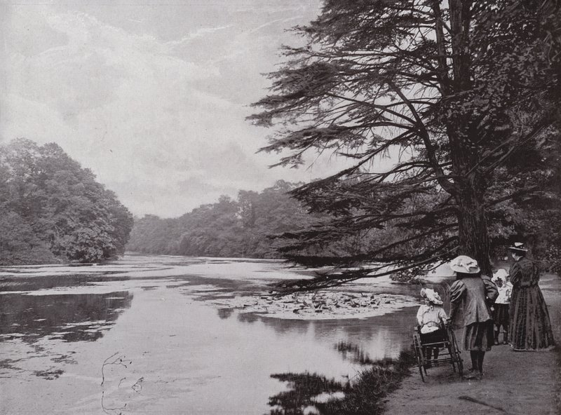 Wanstead Park de English Photographer