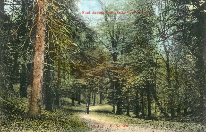 Windsor Great Park, Virginia Water (foto colorida) de English Photographer