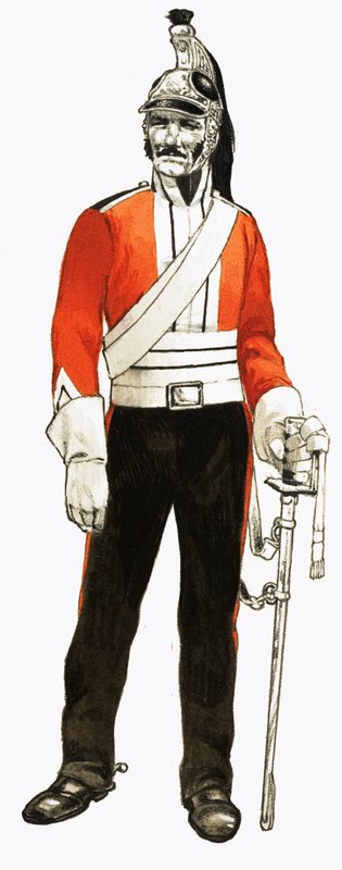 3º Regimento de Dragões 1812 Trooper de English School