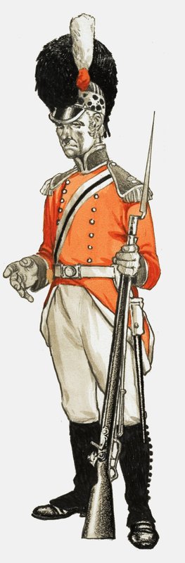 92nd. Hon. Artillery Co. Infantaria Div. Privado 1803 de English School