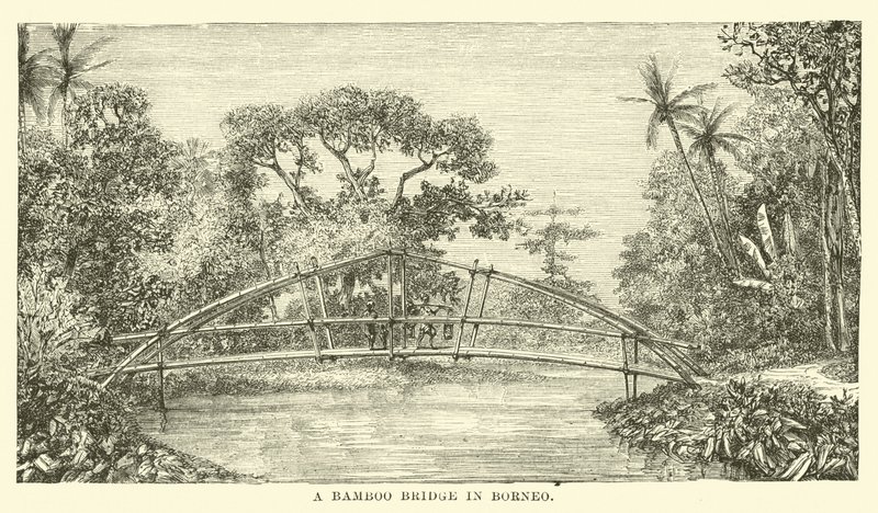 Uma ponte de bambu em Bornéu de English School