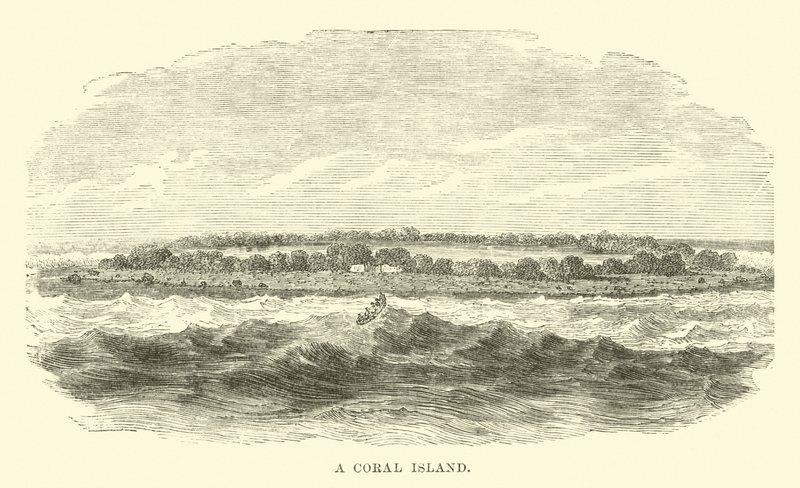 Uma ilha de coral de English School