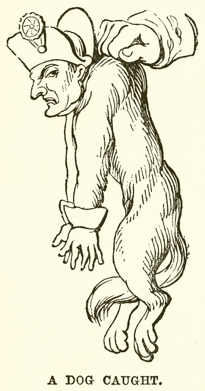 Um cão apanhado de English School