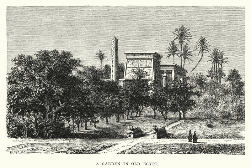 Um Jardim no Velho Egipto (gravura) de English School