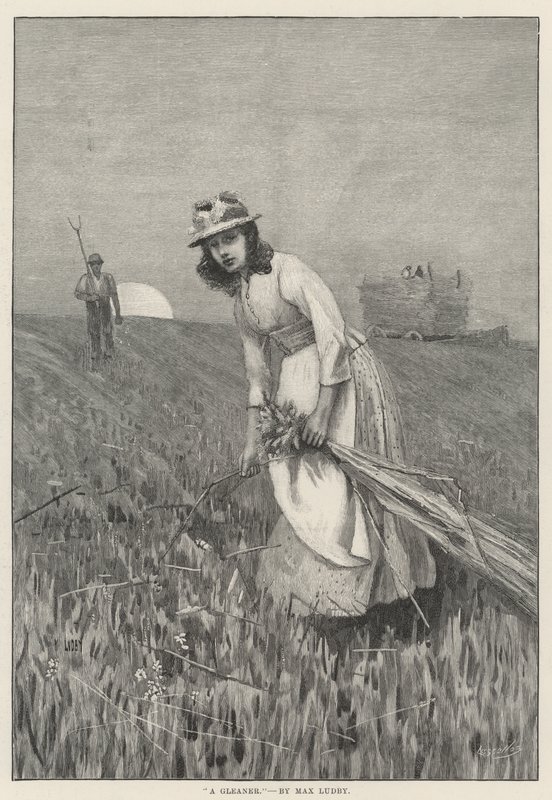Um Gleaner (gravura) de English School