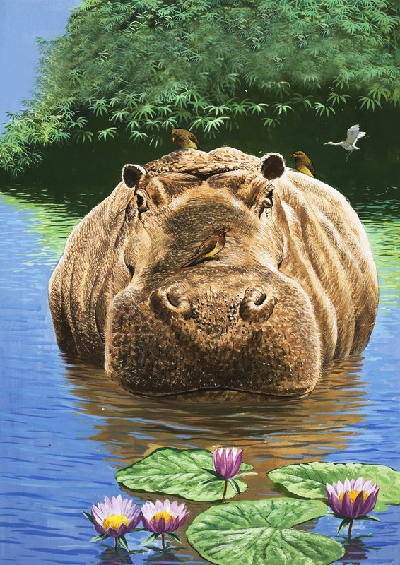 Um hipopótamo feliz, ilustração de "O País das Maravilhas da Natureza de English School