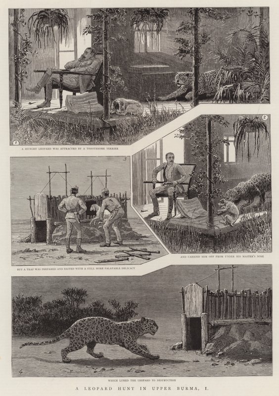 A Leopard Hunt in Upper Burma, I (gravura) de English School