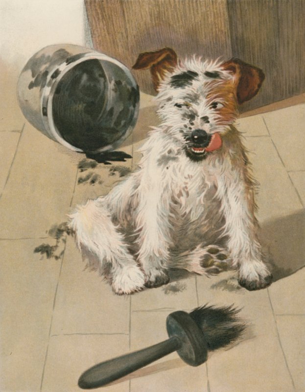 Ragamuffin de English School