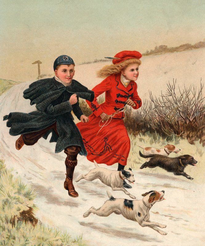 Uma corrida com os cães de English School
