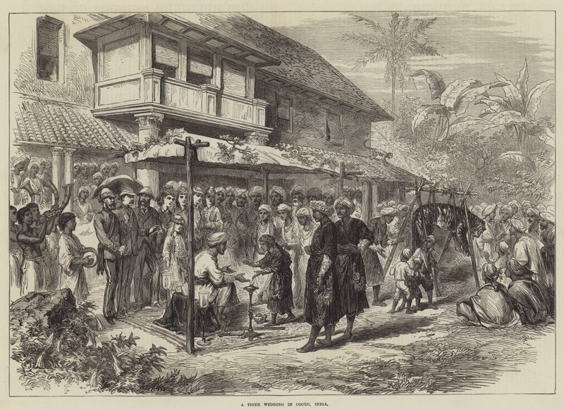 Um Casamento de Tigre em Coorg, Índia (gravura) de English School