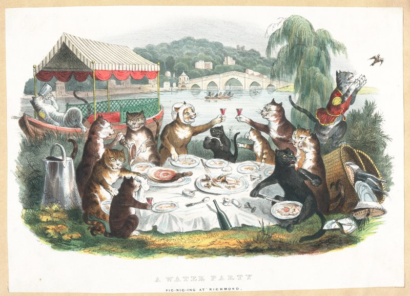 Um partido da água - Picnicing em Richmond de English School