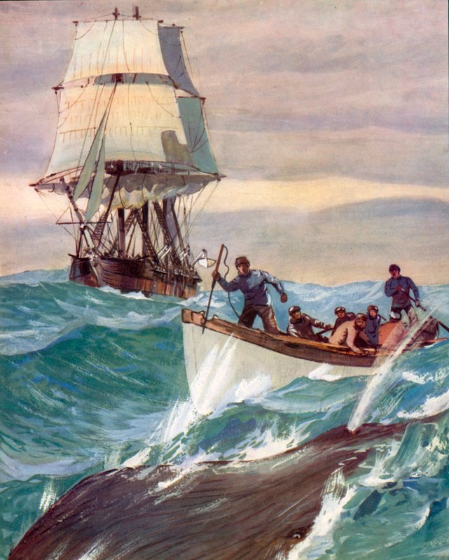 Um Whaler (litografia a cores) de English School