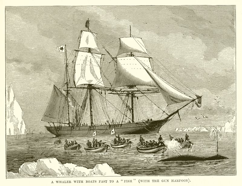 Um baleeiro com barcos rápido para um peixe (com o arpão de arma) de English School