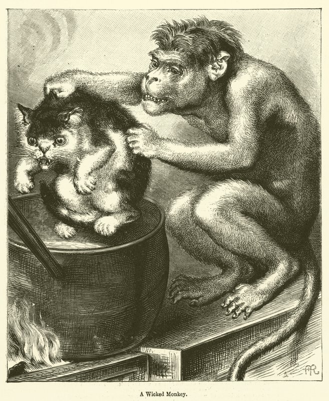 Um Macaco Malvado de English School