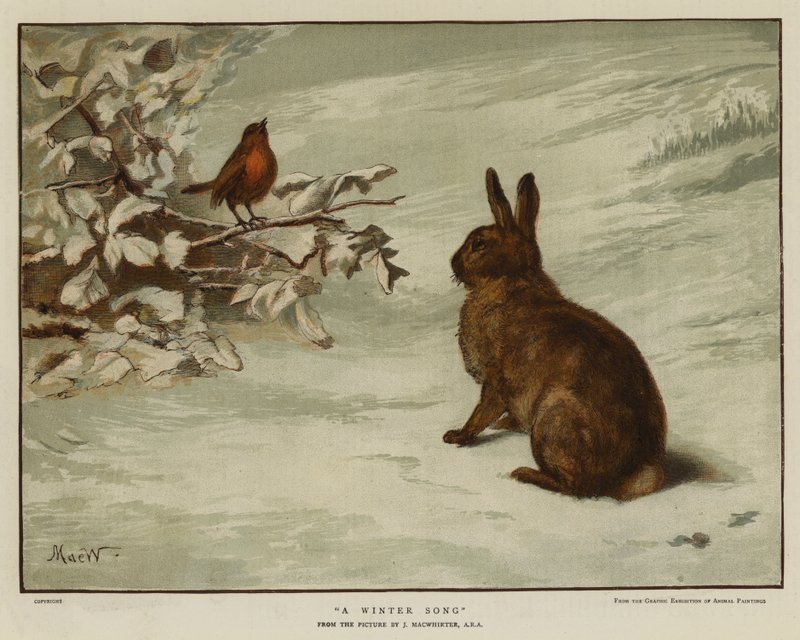 Uma Canção de Inverno (chromolitho) de English School