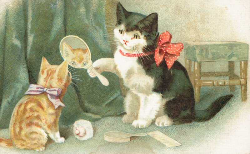 Um gato segurando um espelho de mão de English School