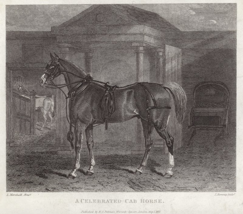 Um célebre cavalo de táxi de English School