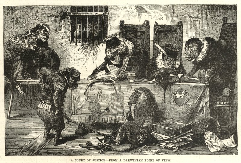 Um tribunal de justiça do ponto de vista darwinista de English School