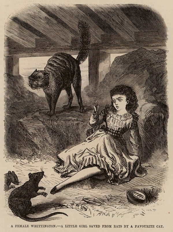 Uma Whittington feminina, uma menina salva dos ratos pelo seu gato favorito (gravura) de English School