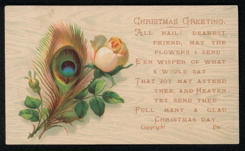 Uma pena de pavão e uma rosa, cartão de boas festas de Natal. (chromolitho) de English School