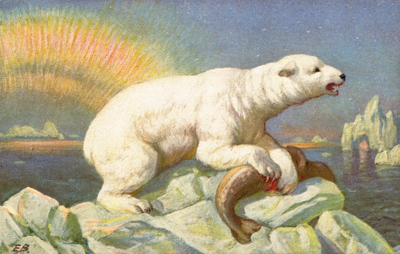 Um urso polar está sobre o corpo do peixe em uma rocha de English School