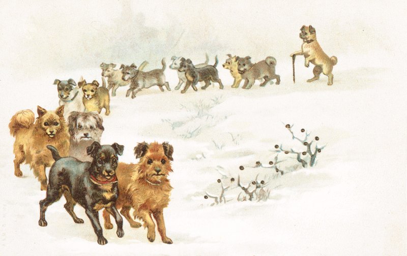Um trem de cachorros na neve de English School