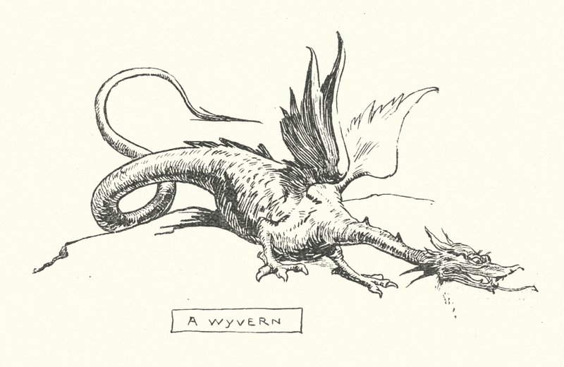 Um wyvern (gravura) de English School