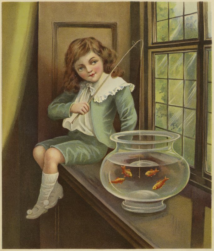 Um, menino jovem, dangling, um, cana de pesca, em, um, tigela, goldfish de English School