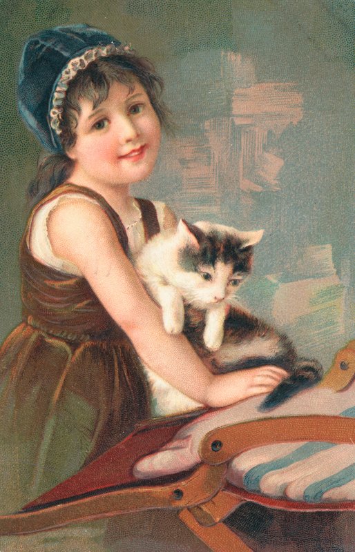 Um, menina jovem, posar, com, um, gato de English School