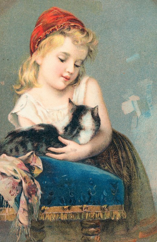 Um, menina jovem, posar, com, um, gato de English School
