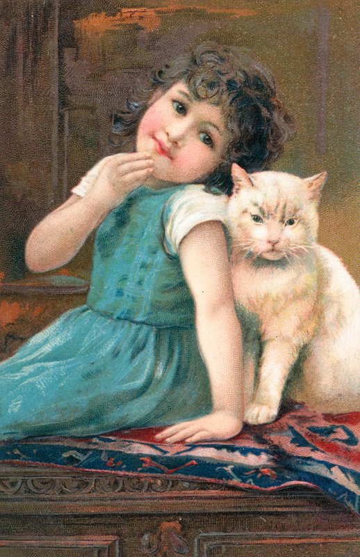 Um, menina jovem, posar, com, um, gato de English School