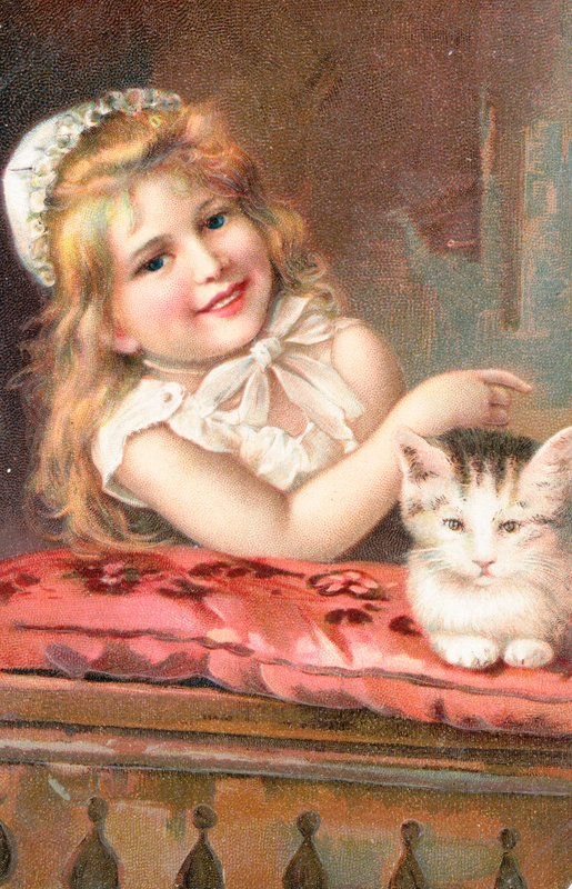 Um, menina jovem, posar, com, um, gato de English School