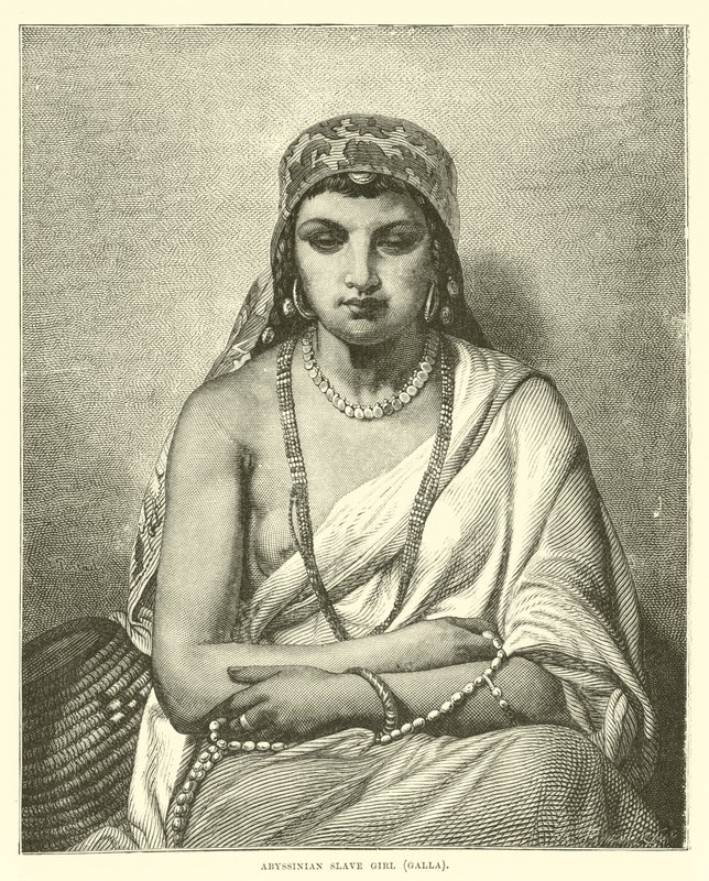 Escrava abissínio, Galla de English School