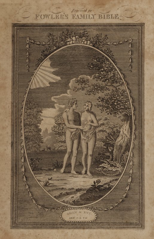 Adão e Eva, Gênesis, Capítulo 3, Versículo 6 (gravura) de English School