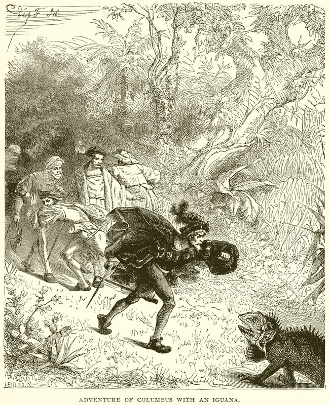 Aventura de Colombo com uma Iguana de English School
