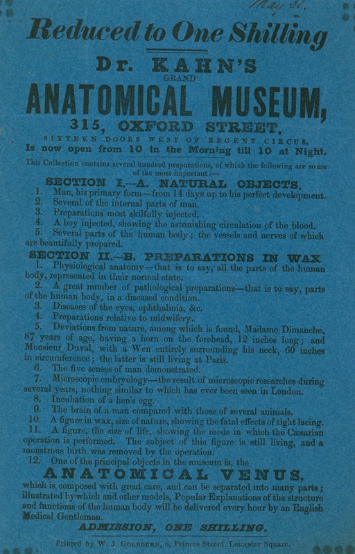 Anúncio de Museu Anatómico Dr. Khans Grant de English School