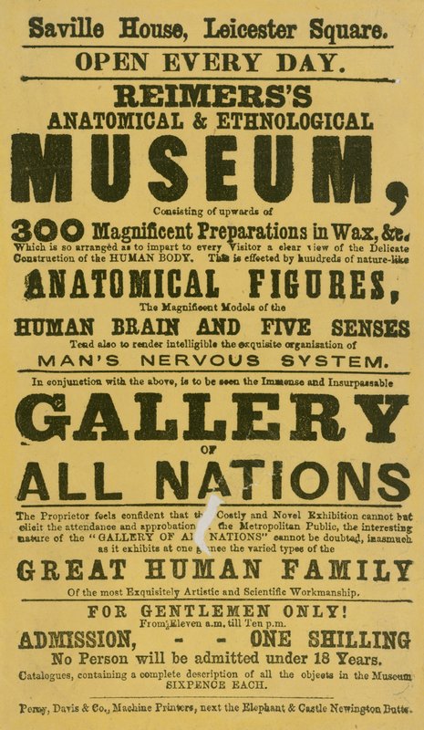Anúncio de Reimerss Anatomical and Ethnological Museum de English School
