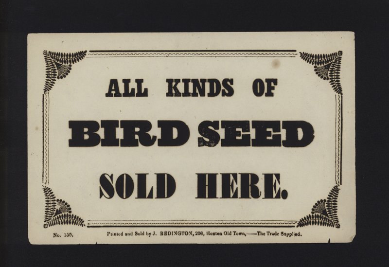 Propaganda: Todos os tipos de sementes de aves vendidos aqui (tipo) de English School